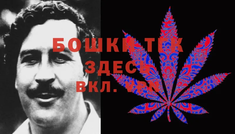 OMG зеркало  Петровск  Каннабис THC 21%  где продают  